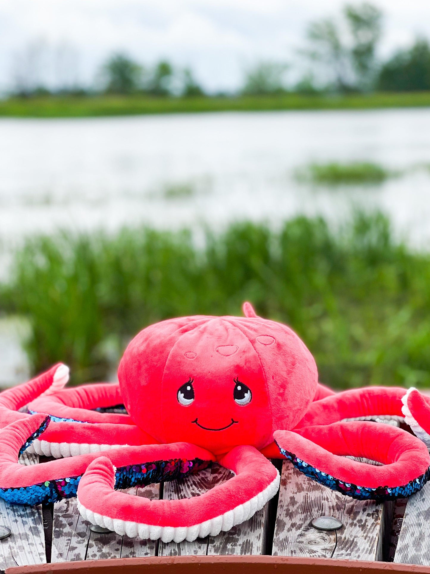 Octavia peluche en pieuvre de couleur rouge lourde et sensorielle