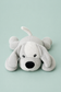 **Précommande** Mini chien lesté